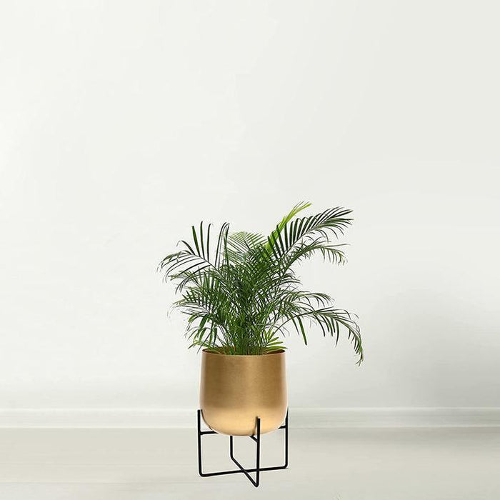 Large metal plant pot |brushed gold color