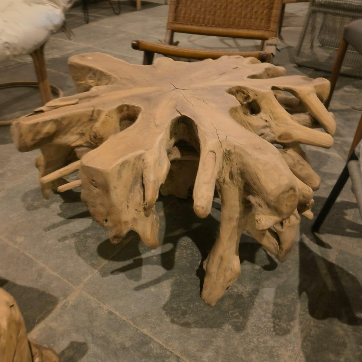 Nature's Nirvana Root Living Room Coffee Table | Designer Accent Table| Wooden Center Table for Living Room