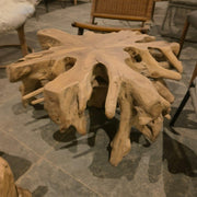 Nature's Nirvana Root Living Room Coffee Table | Designer Accent Table| Wooden Center Table for Living Room