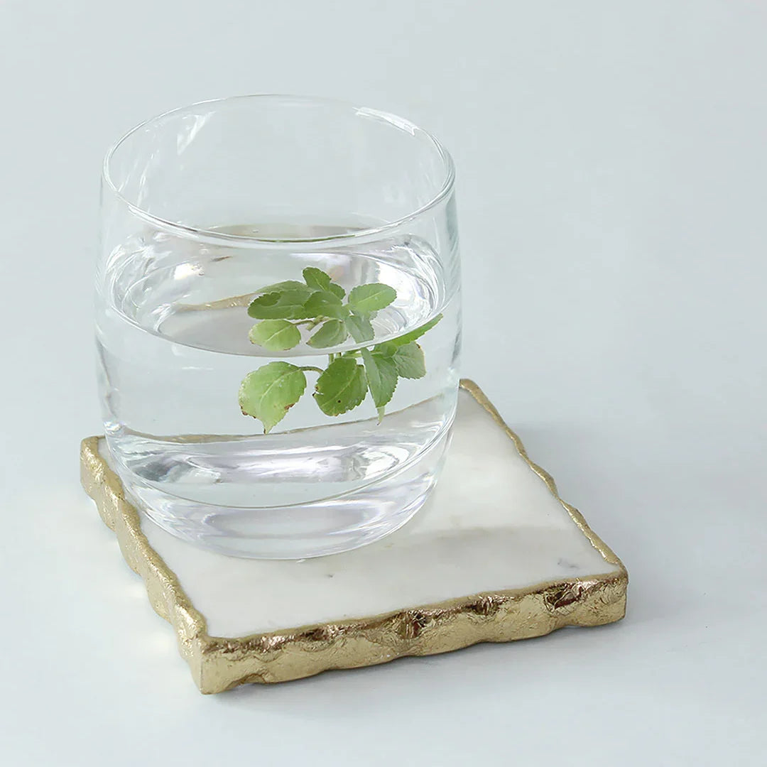 Scallops Coasters In White Colour