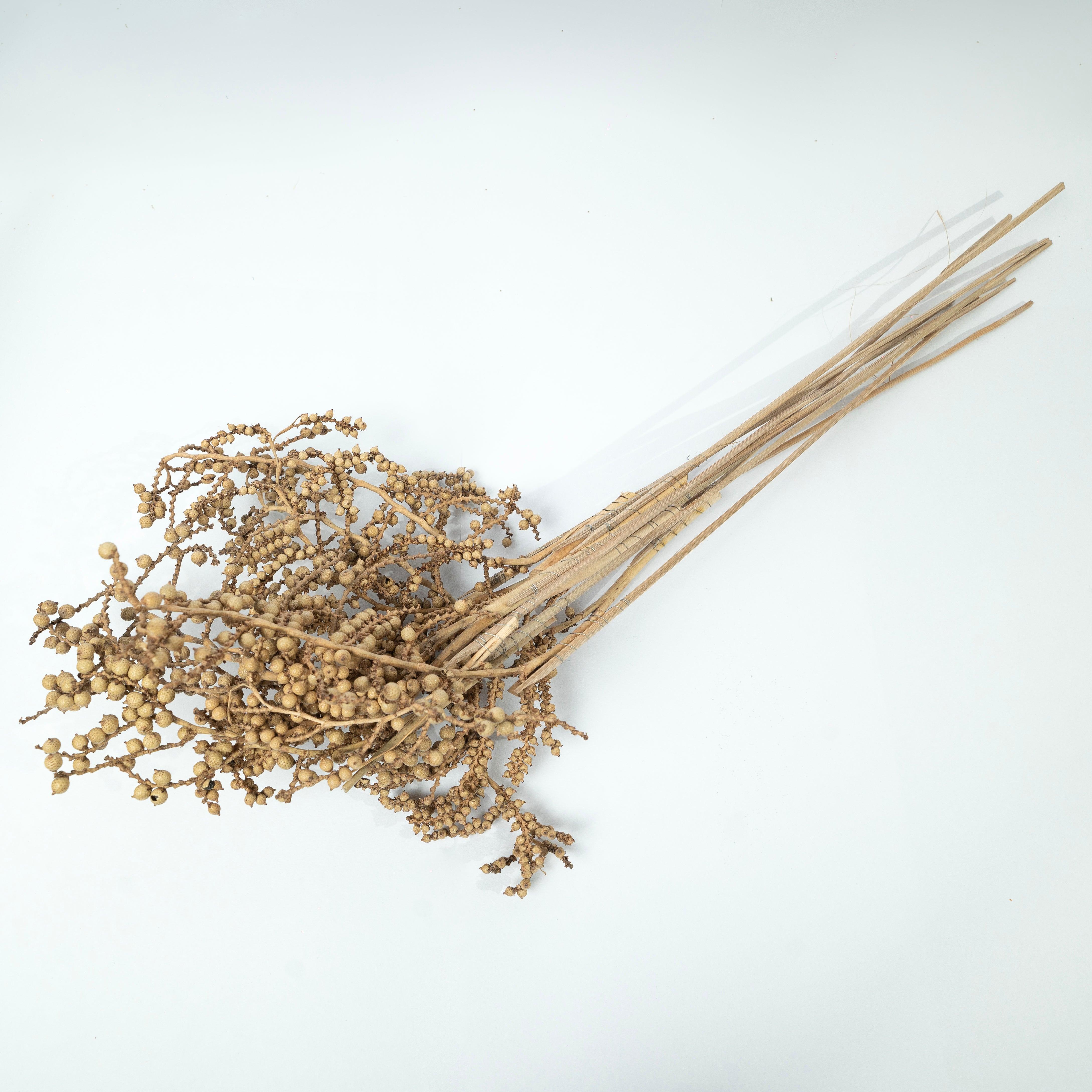 Natural Living Dried Canella Sticks | Home Decor Floral Arrangements Set of 10 Dried Sticks