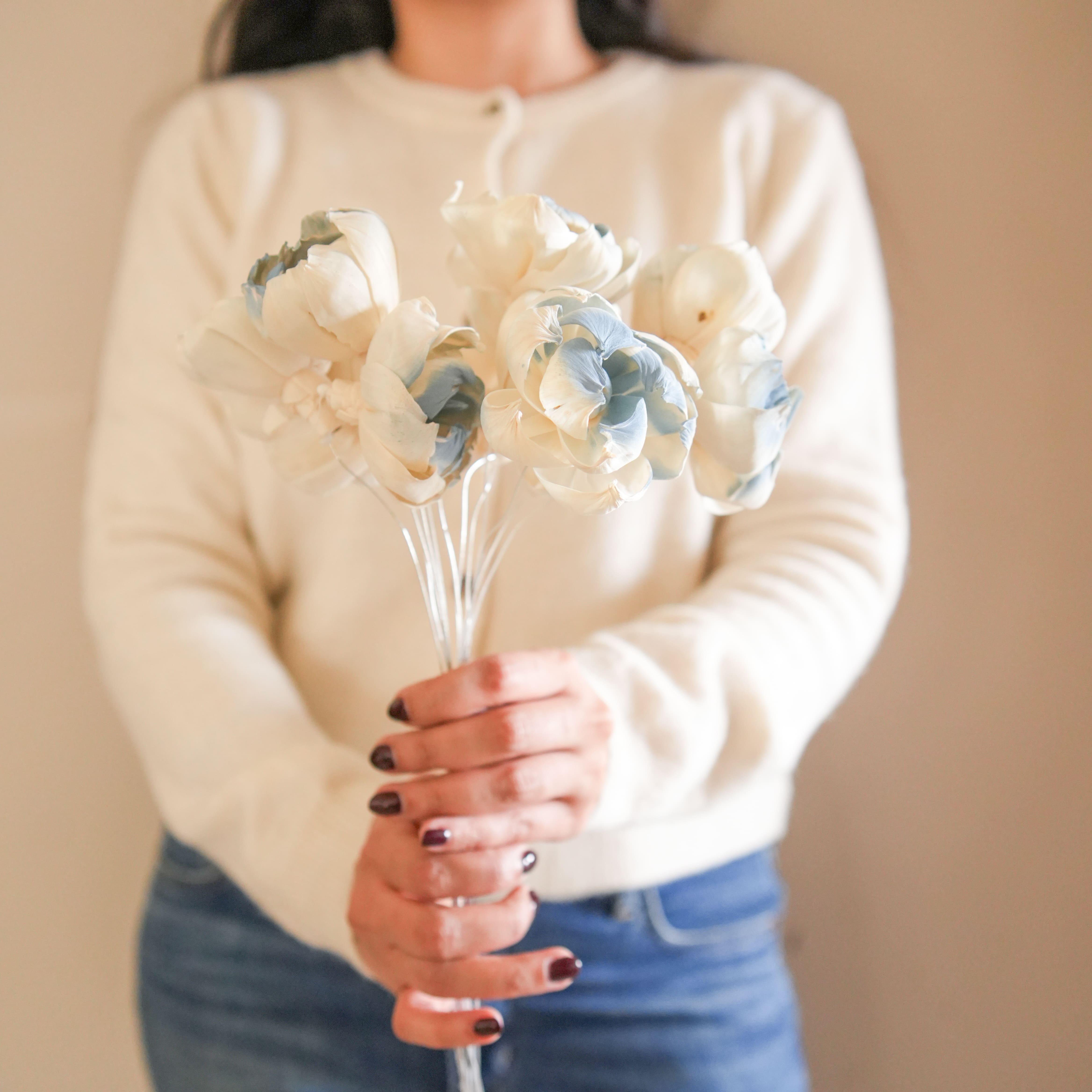 Dual Shade Sola Peony