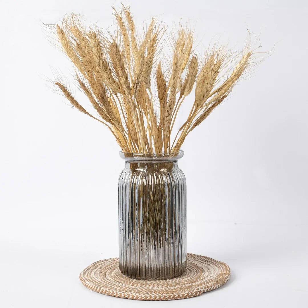 Wheat Grass | Natural