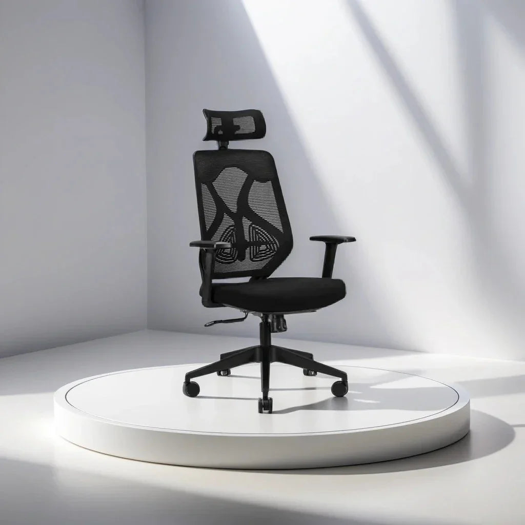 Black Ergolux High Back Ergonomic Office Chair | Adjustable Lumbar Support & Headrest