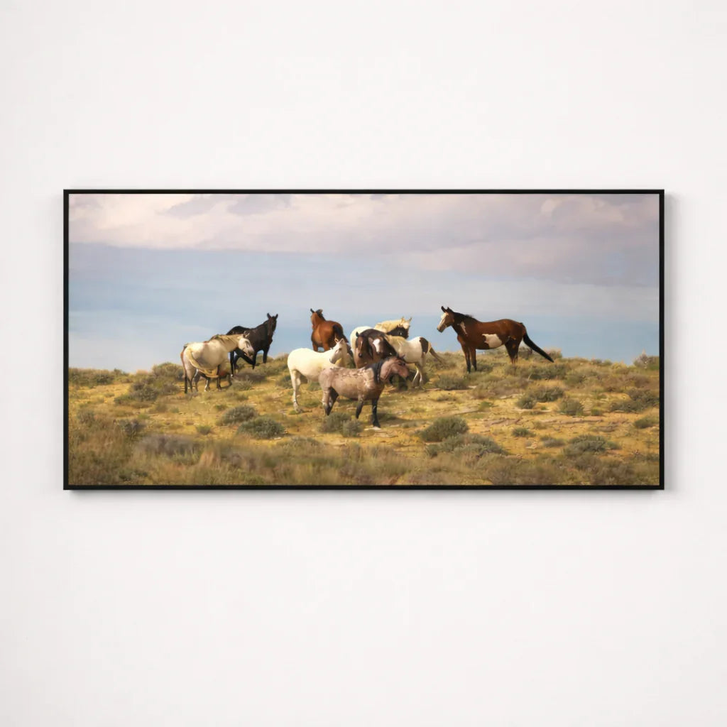 Wild Horizon – Horse Landscape Canvas Wall Art 48x24