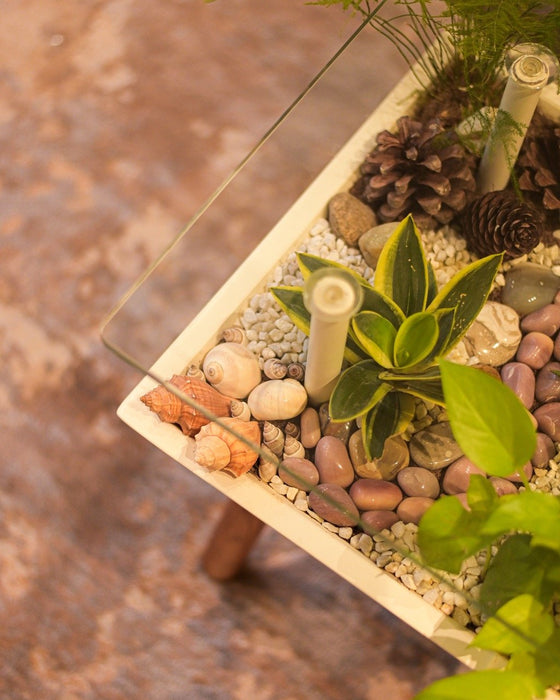 Breathing Coffee Table