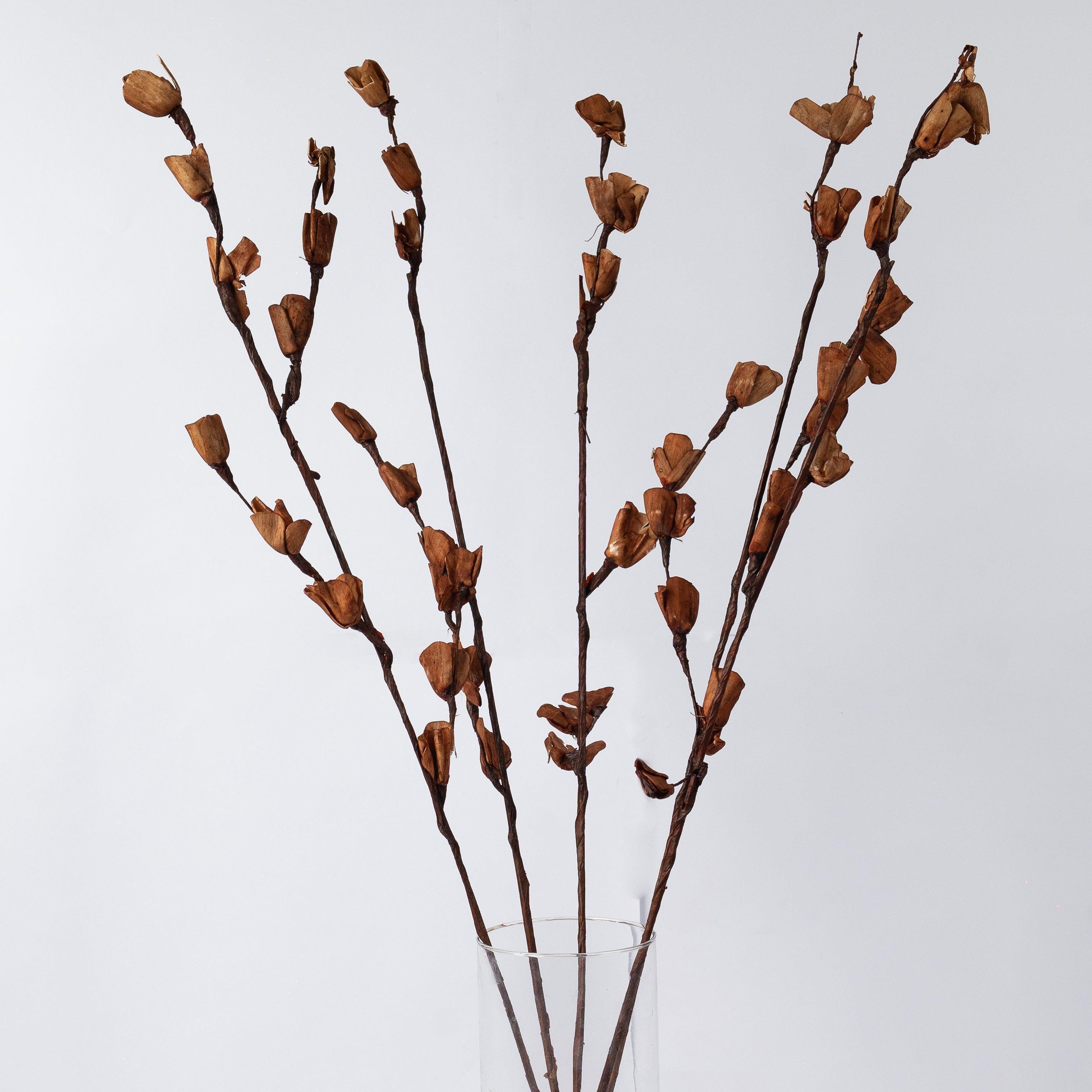 Sola Lily | Brown & White