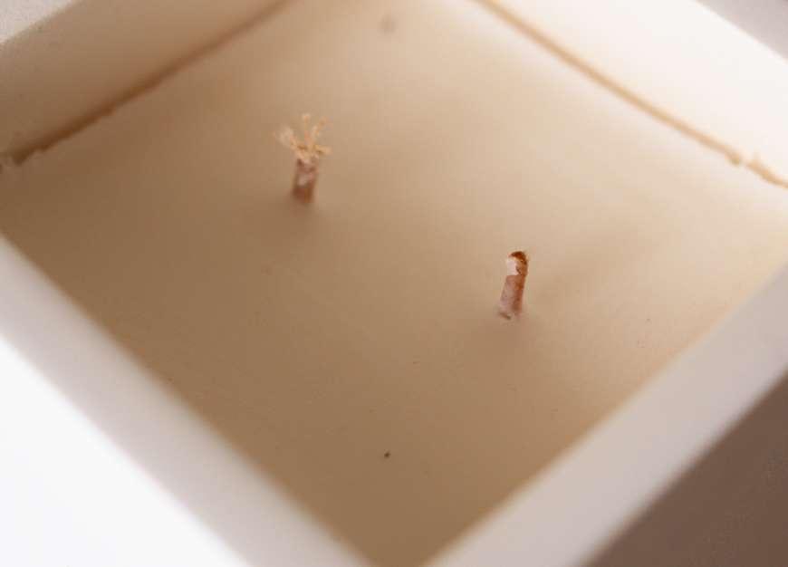 Astiry Concrete Scented Candle