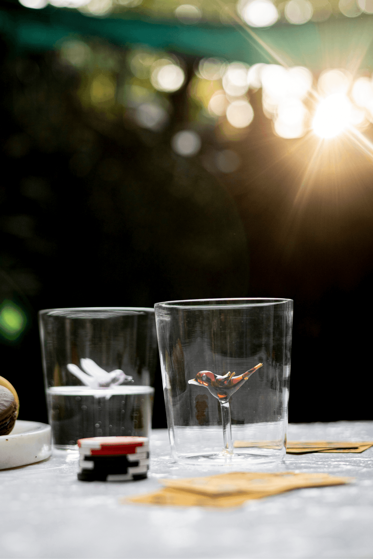 Wren Glass Ware for Serving Guest | Stylish Drinking Glass for Gifting