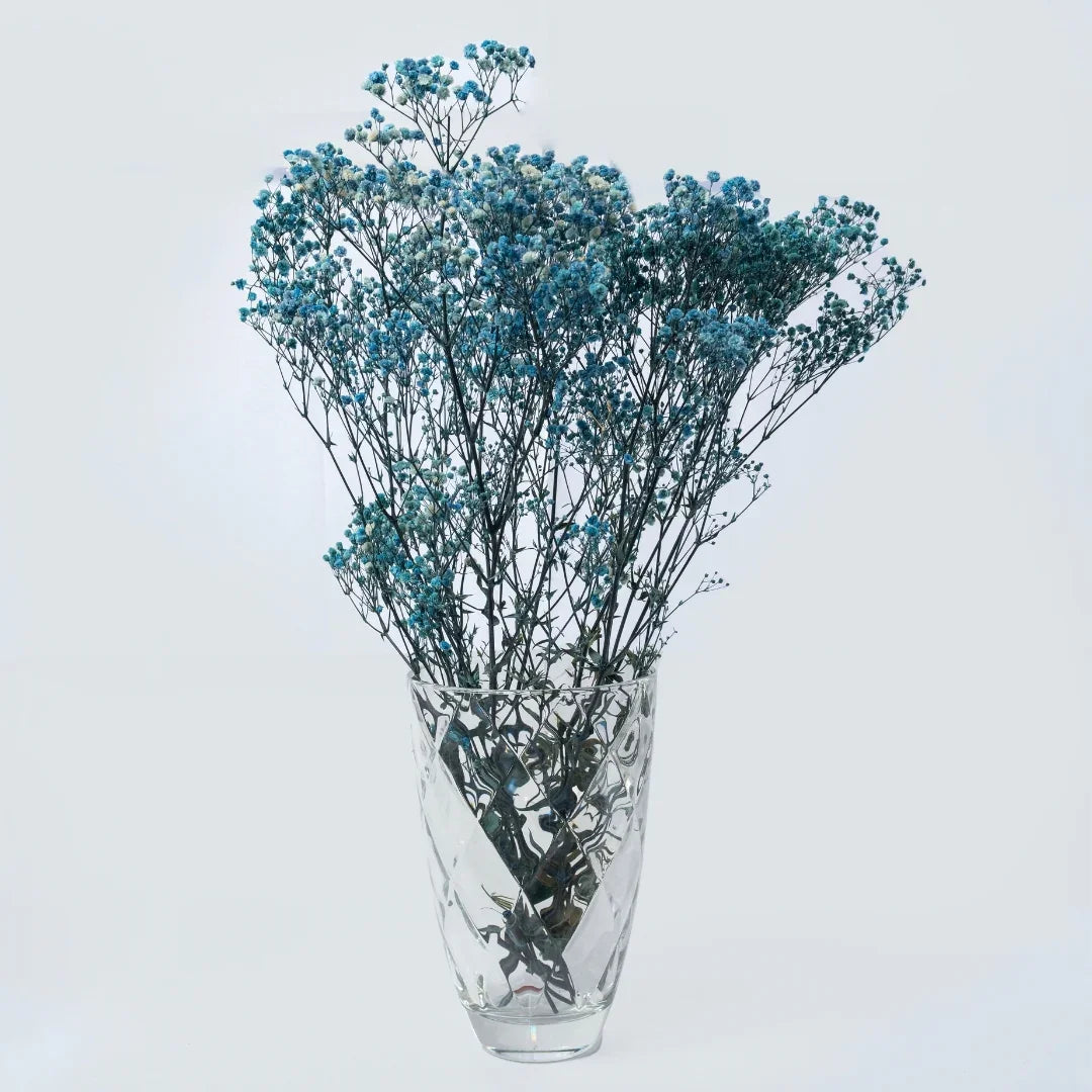 Preserved Baby's Breath