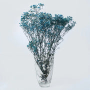 Preserved Baby's Breath