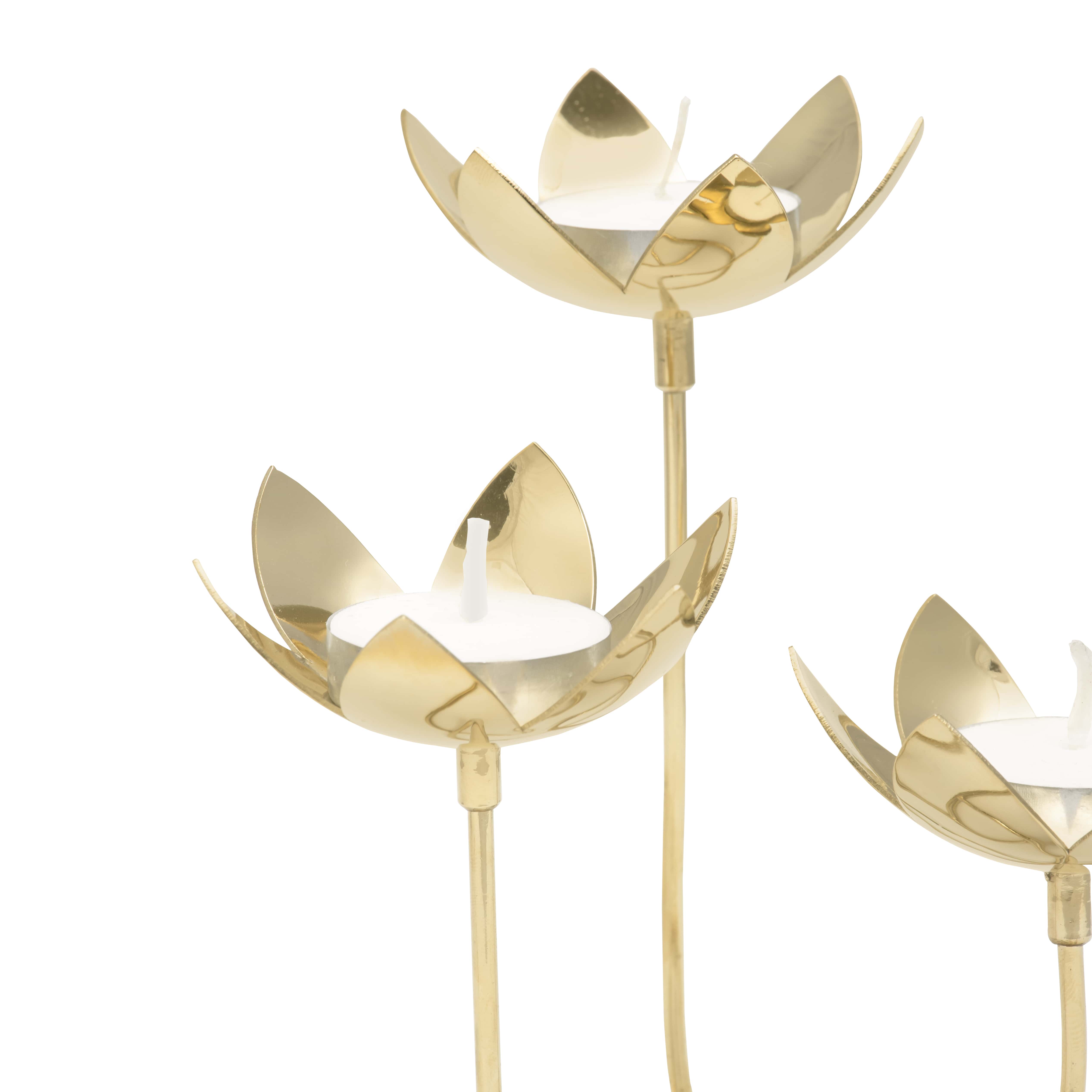 Lotus Cluster | Brass