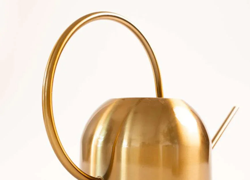 Stainless Steel Watering Can 1.2L | Garden Sprinkler Can Indoor & Outdoor Plant Care