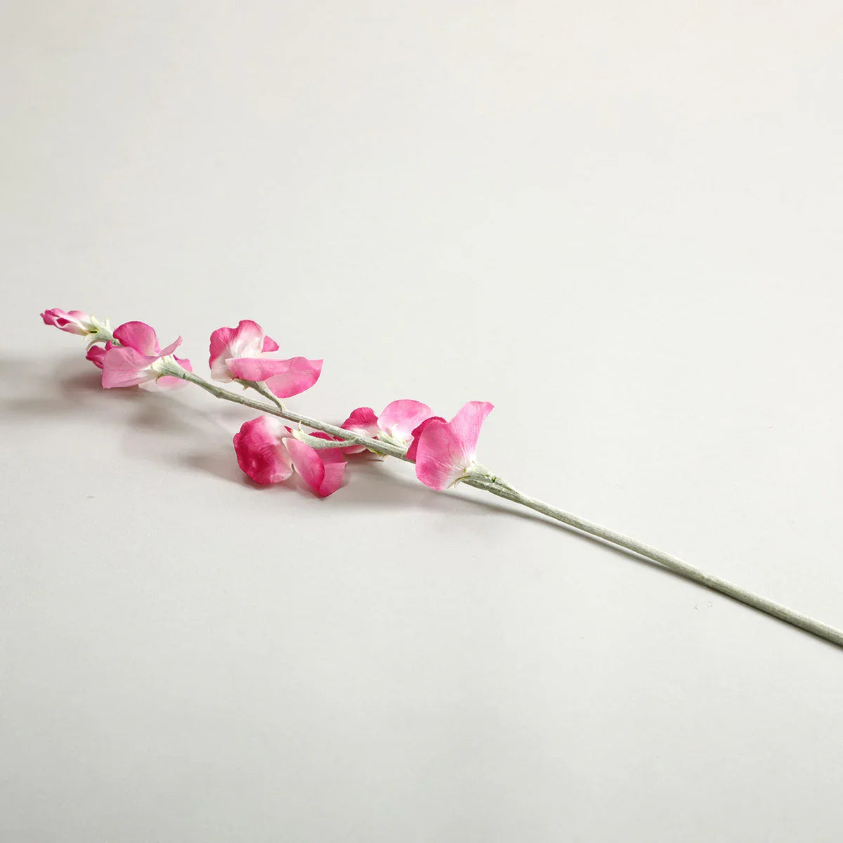 Sweetpea Fuchsia Flowers