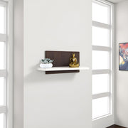 Wall Mounted Floating Shelf with Storage Riyasa