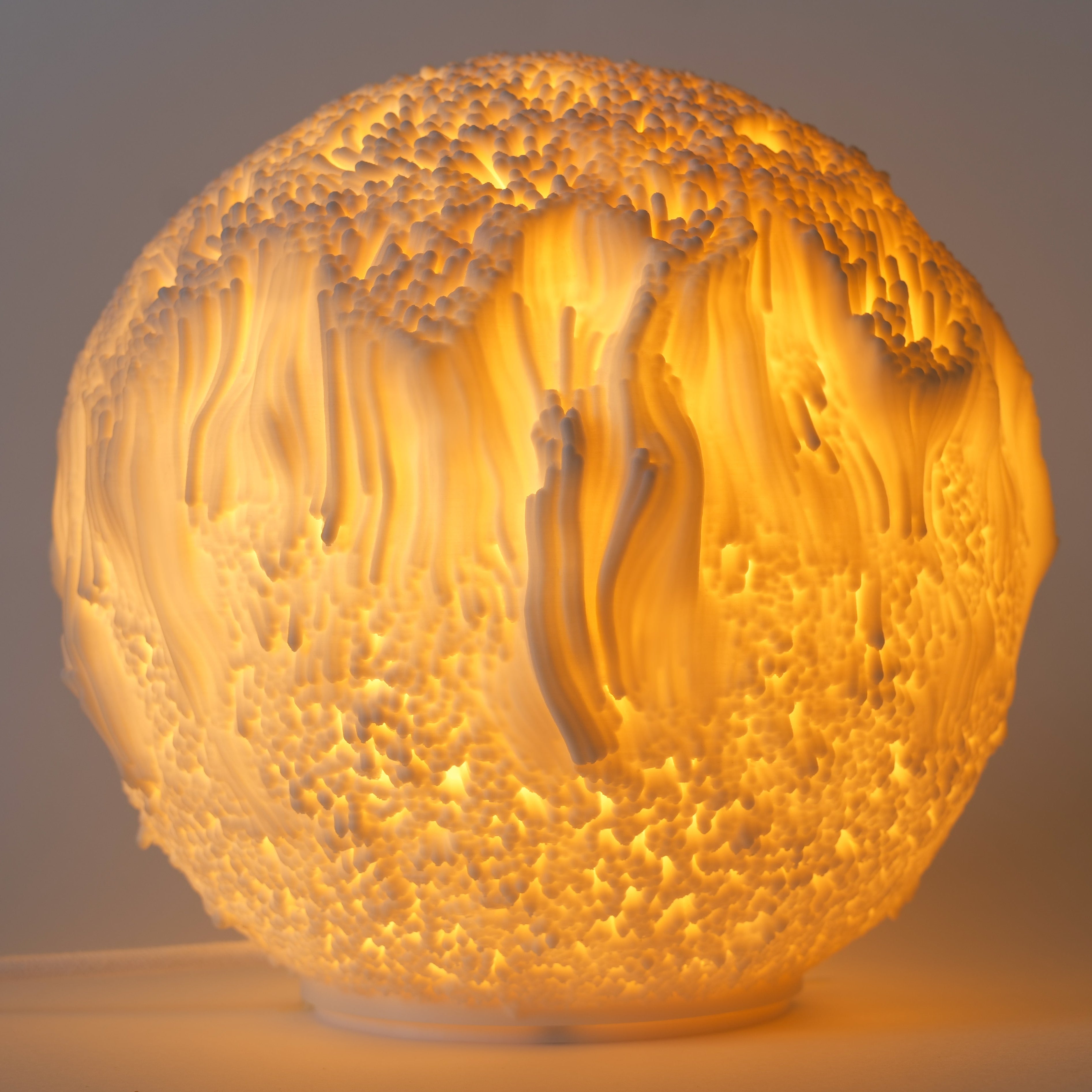 Reef Sculpted Lamp