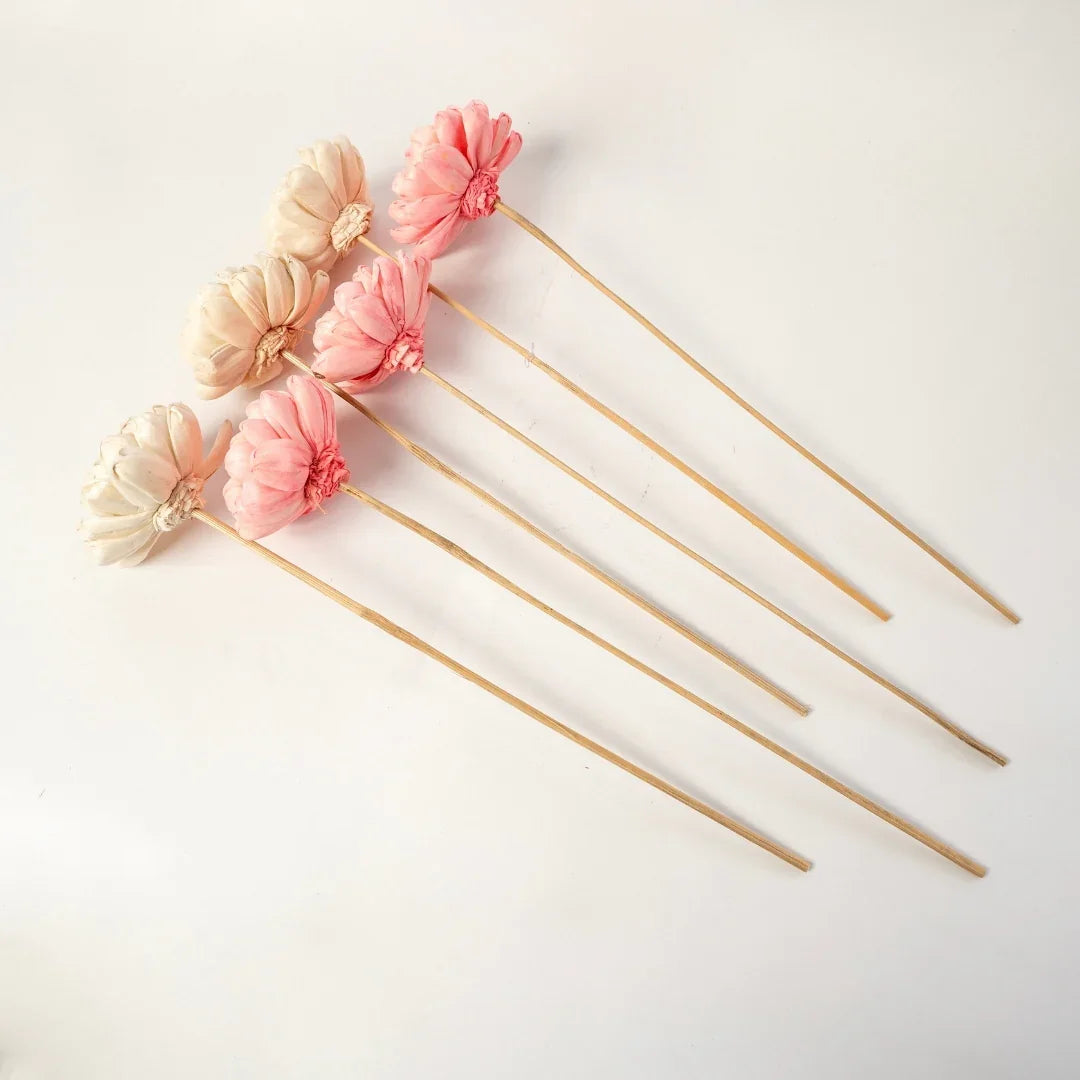 Twisted 8 Cm | Baby Pink and White