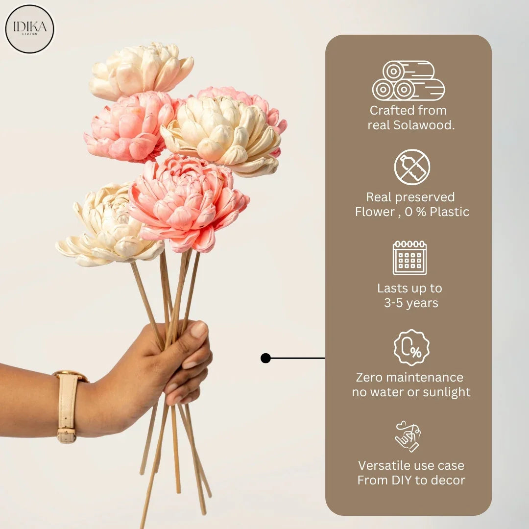 Twisted 8 Cm | Baby Pink and White