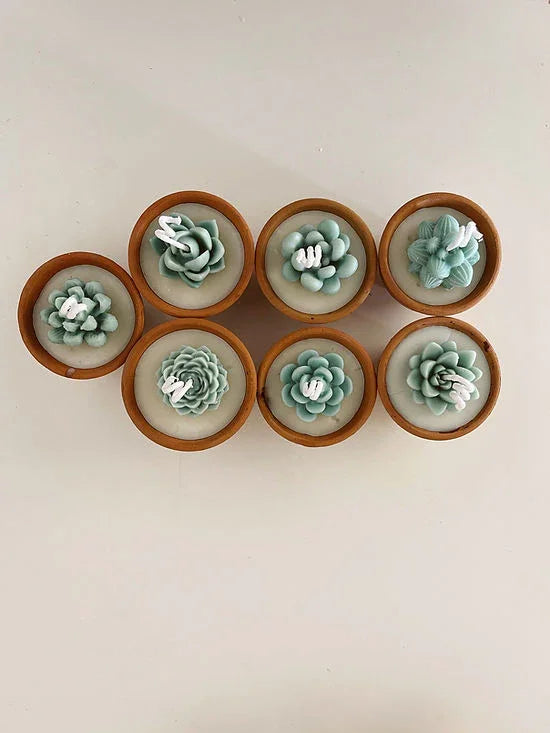 Terracotta Succulent Candle Assorted