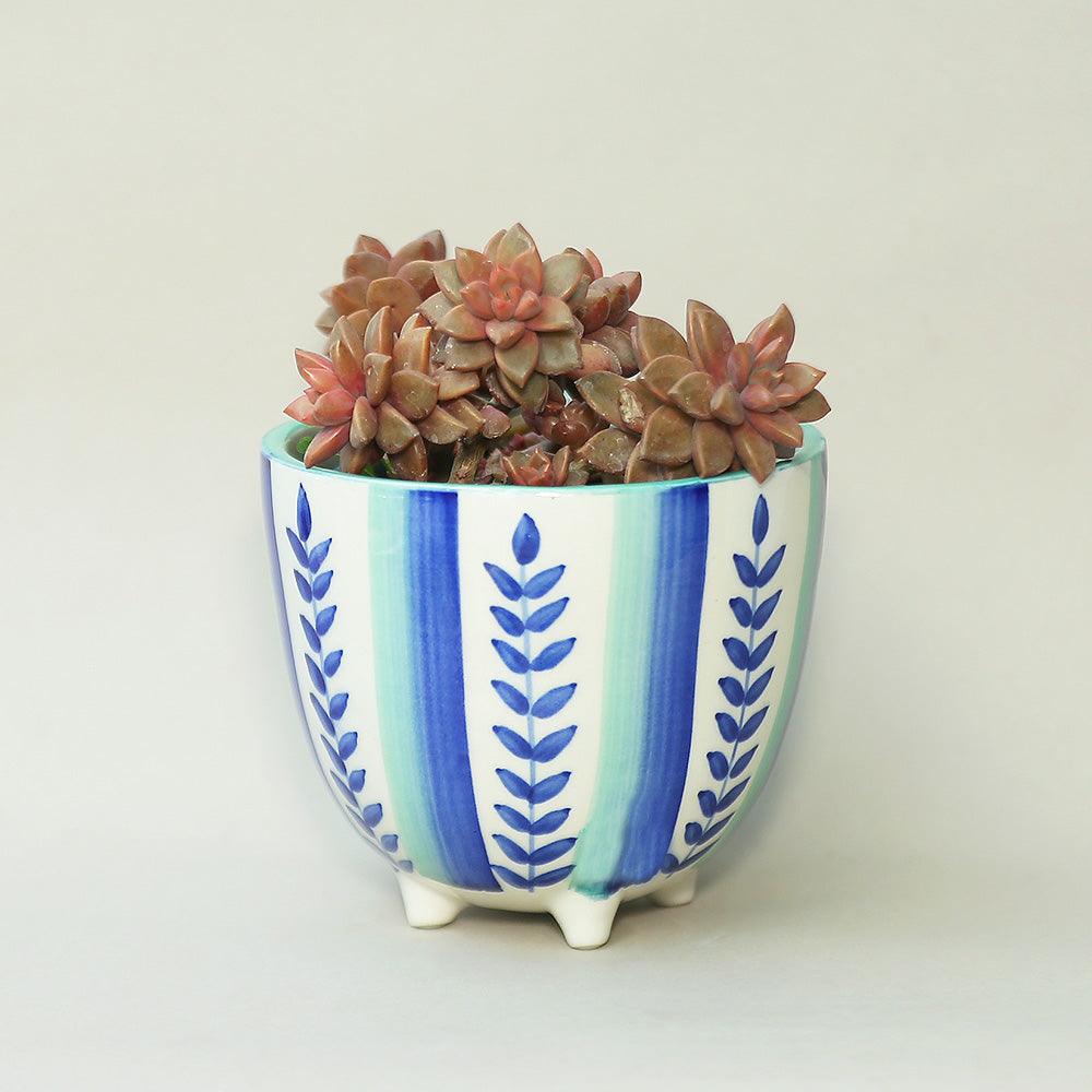 Aquatic Sea Handpainted Ceramic Planter | Multicolor Indoor Flower Pot | Ceramic Plant Pot