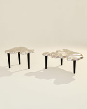 Amorphous Nesting Coffee Table for Living Room | Modern Designer Marble Finish Tea Table -Set of 2
