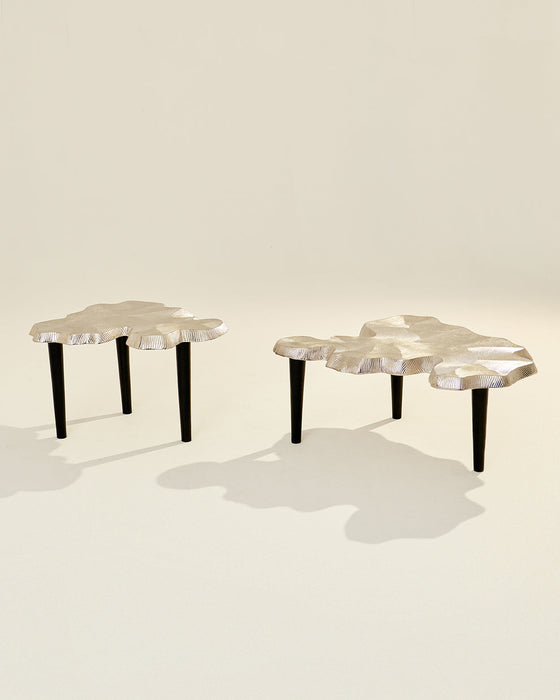 Amorphous Coffee Table - Set of 2