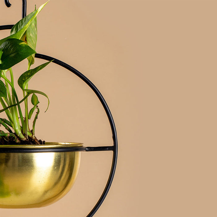 Gold & Black Metal Vega Round Hanging Planter | Flower Pot For Indoor & Outdoor Decor