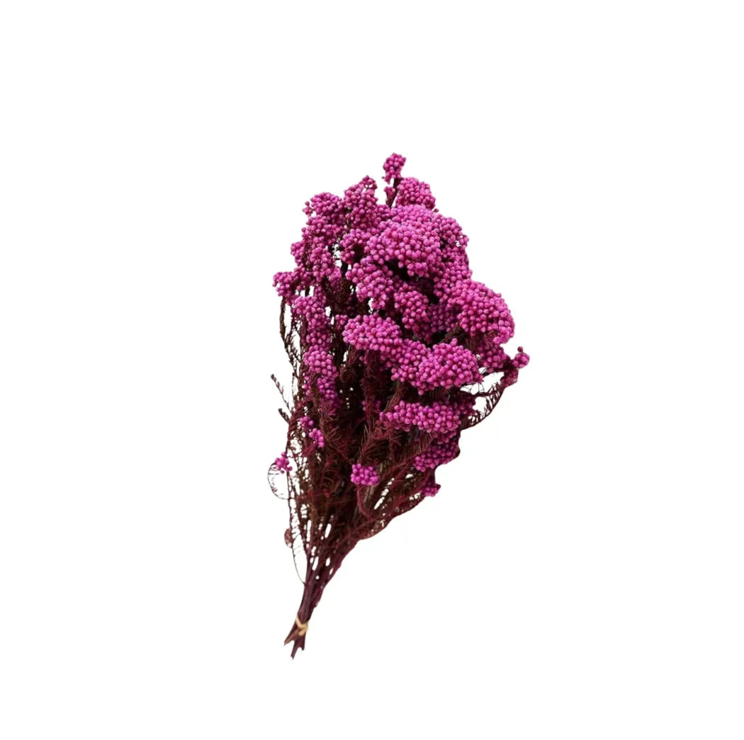 Rice flower