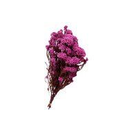Rice flower