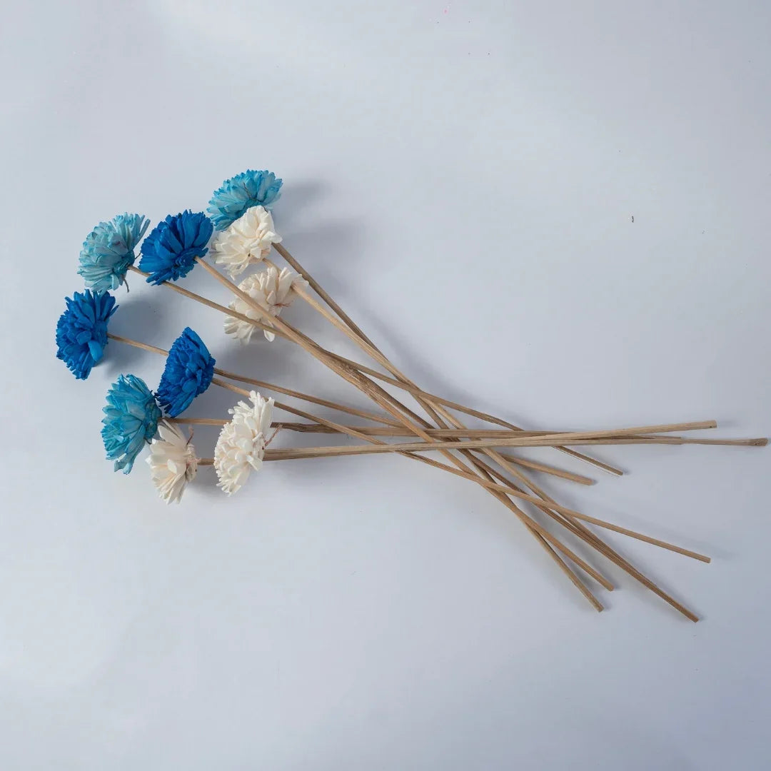 Ziniya - 6 cm | Dark Blue, Sky Blue and White