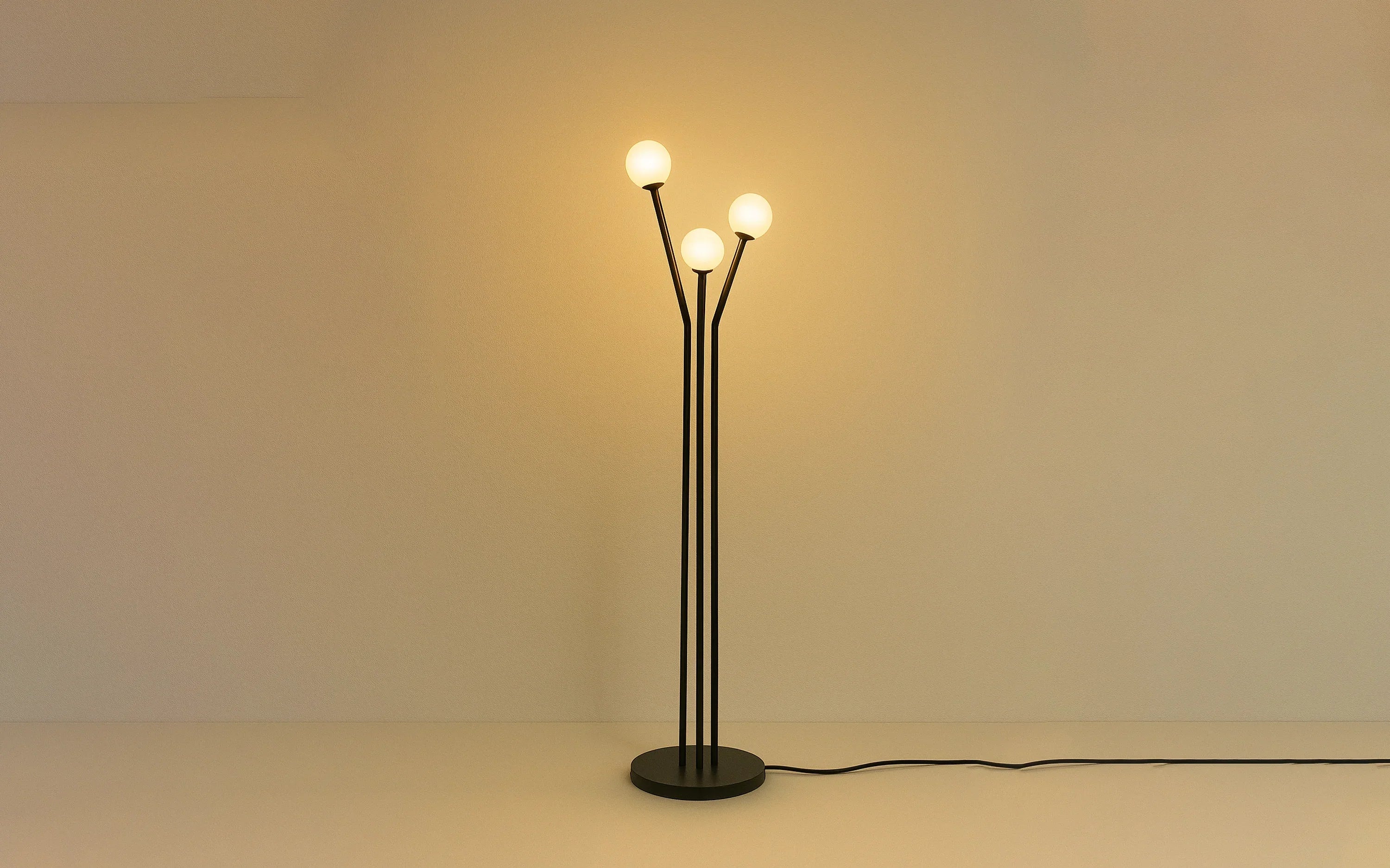 Niora Floor Lamp | Mild Steel and Glass