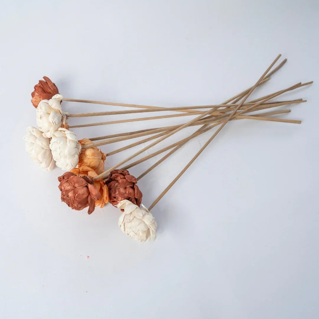 Twisted 6 cm | Rust, Orange and White