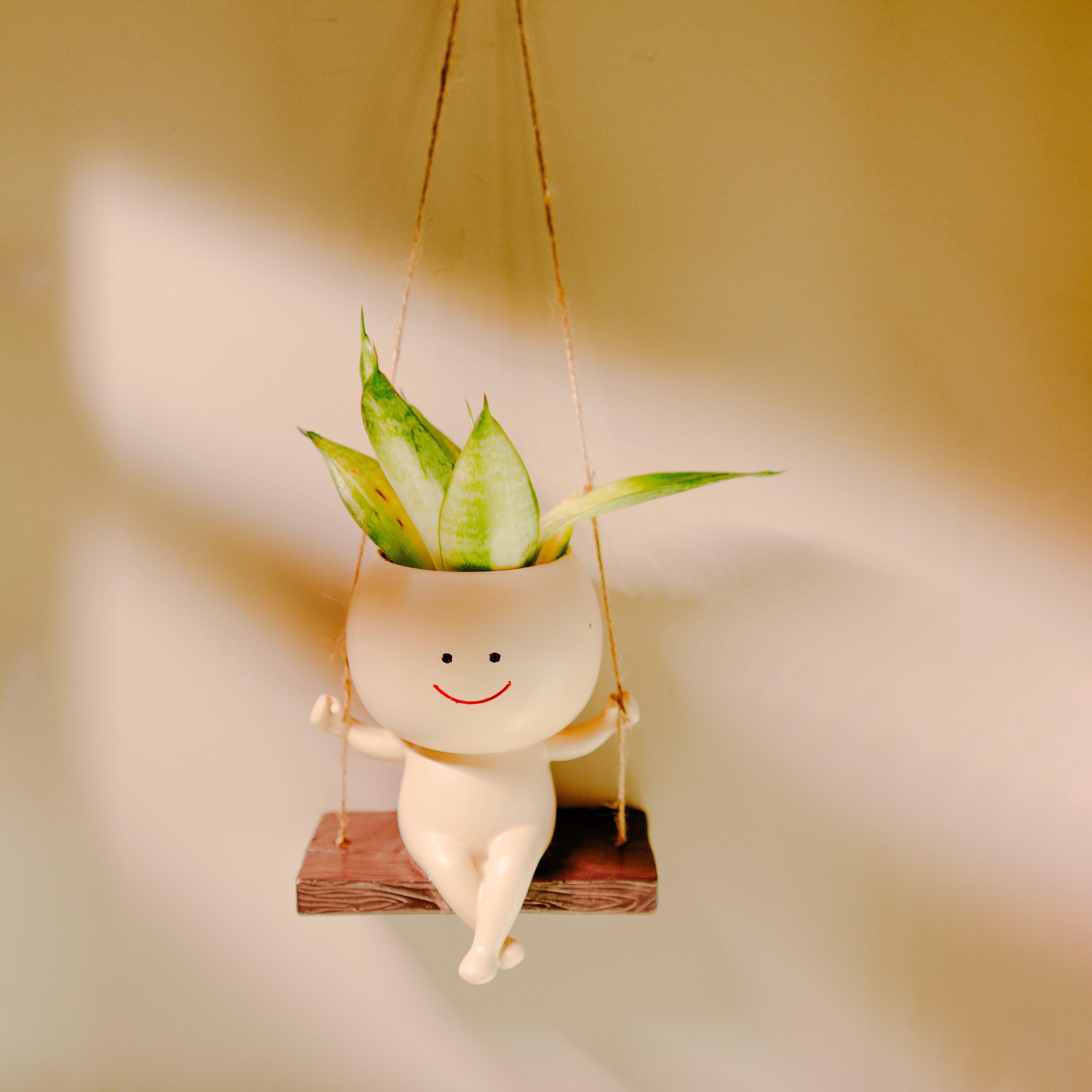 The Happy Hang Planter | Cute Flower Hanging Planter for Indoor and Outdoor Decor