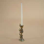 Coral Candle Holder