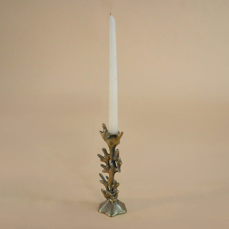 Coral Candle Holder