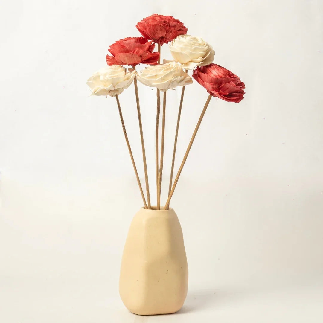 Beauty Rose - 8 cm | Red and White