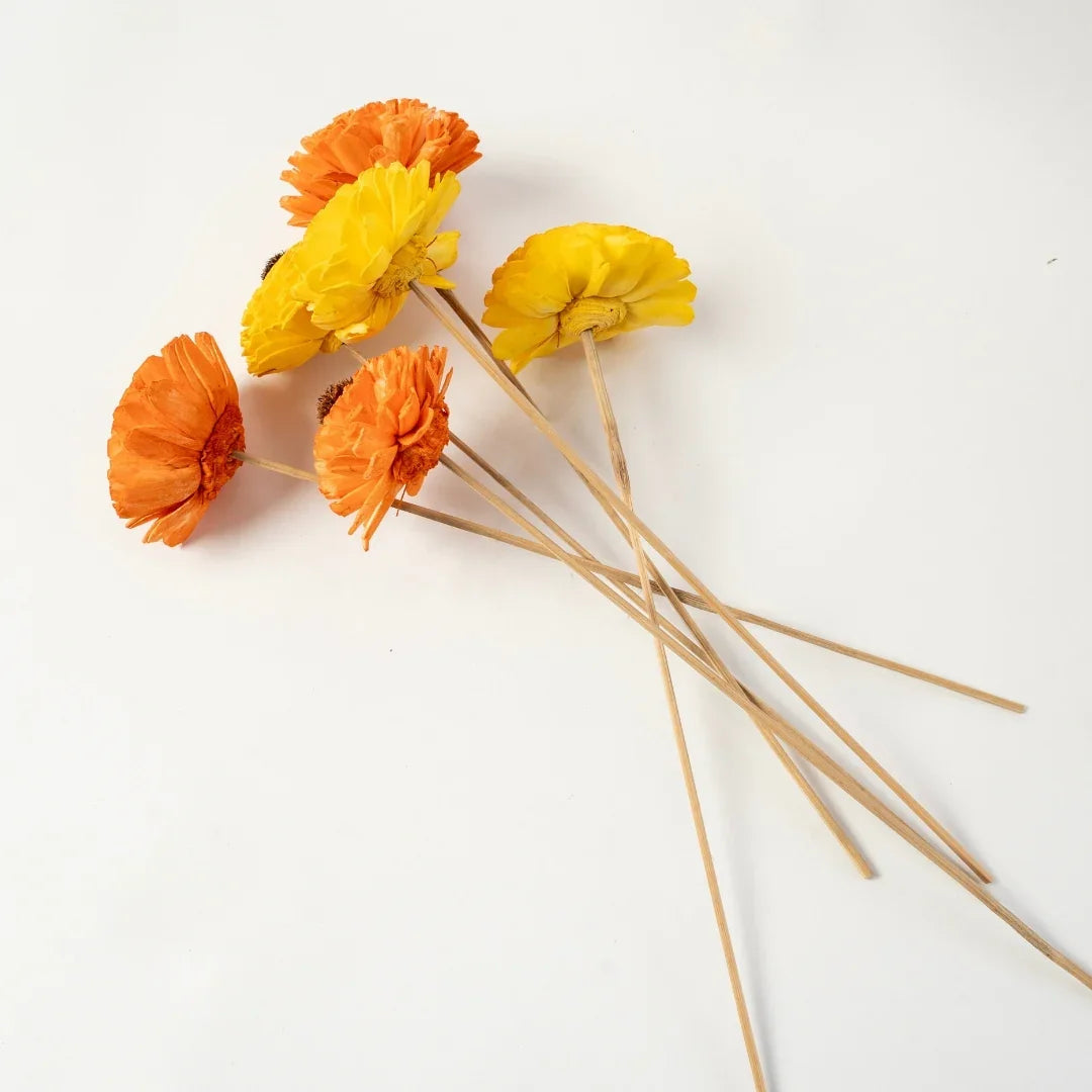 Dagji - 8 cm | Orange and Yellow