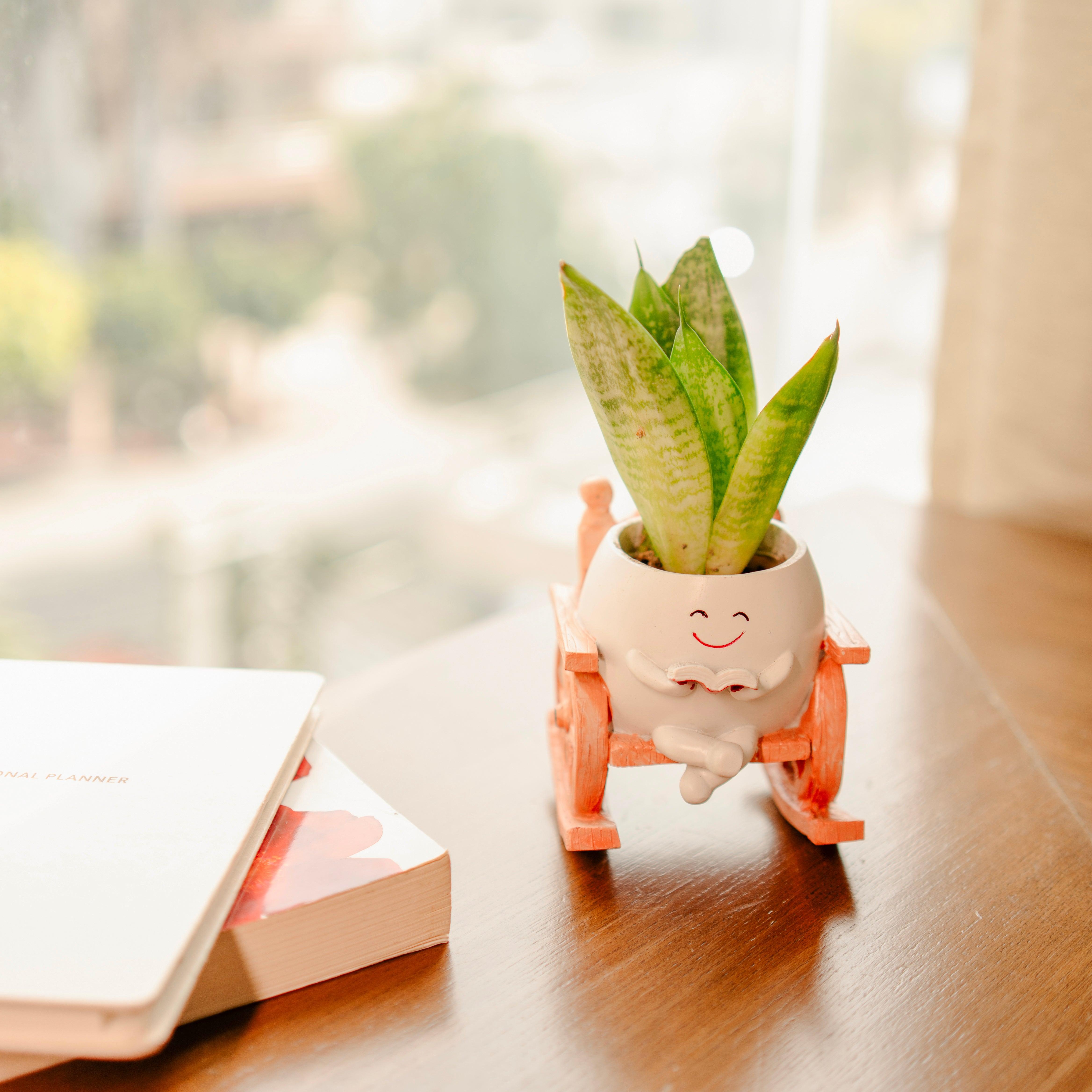 Seat of Stories Resin Cute Planter | Mini Indoor & Outdoor Decorative Planter for Home