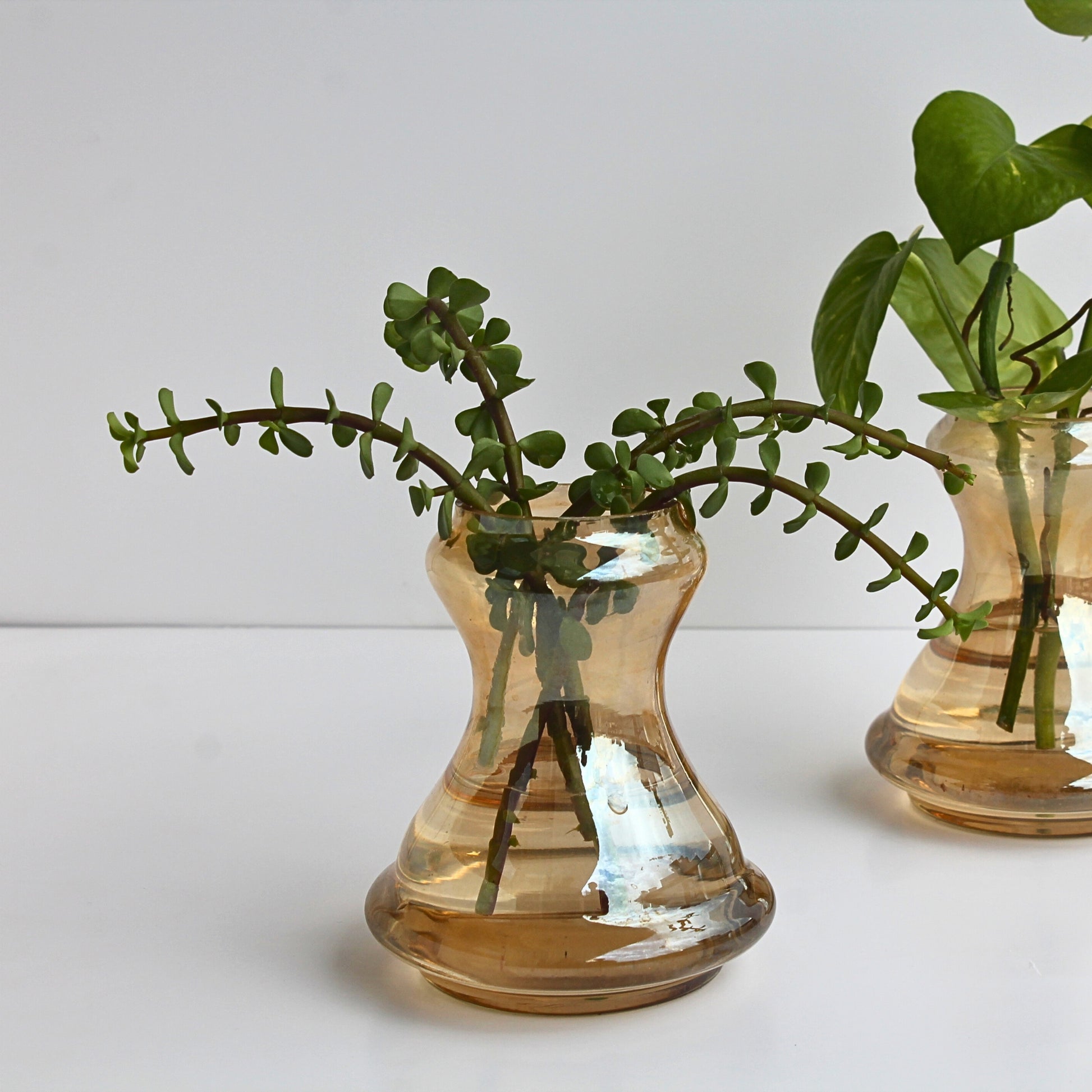 Fig Mini Vase | Handblown glass