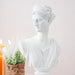 Buy Artefacts - White Aphrodite Bust Artifact | Woman Resin Statue For Living Room And Home Decor by Casa decor on IKIRU online store