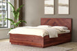 Buy Bed - Dado Hydraulic Bed by Orange Tree on IKIRU online store
