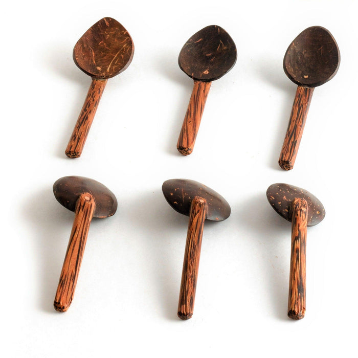 Buy Cutlery - Coconut Shell Masala Spoon Set of 6 by Thenga on IKIRU online store