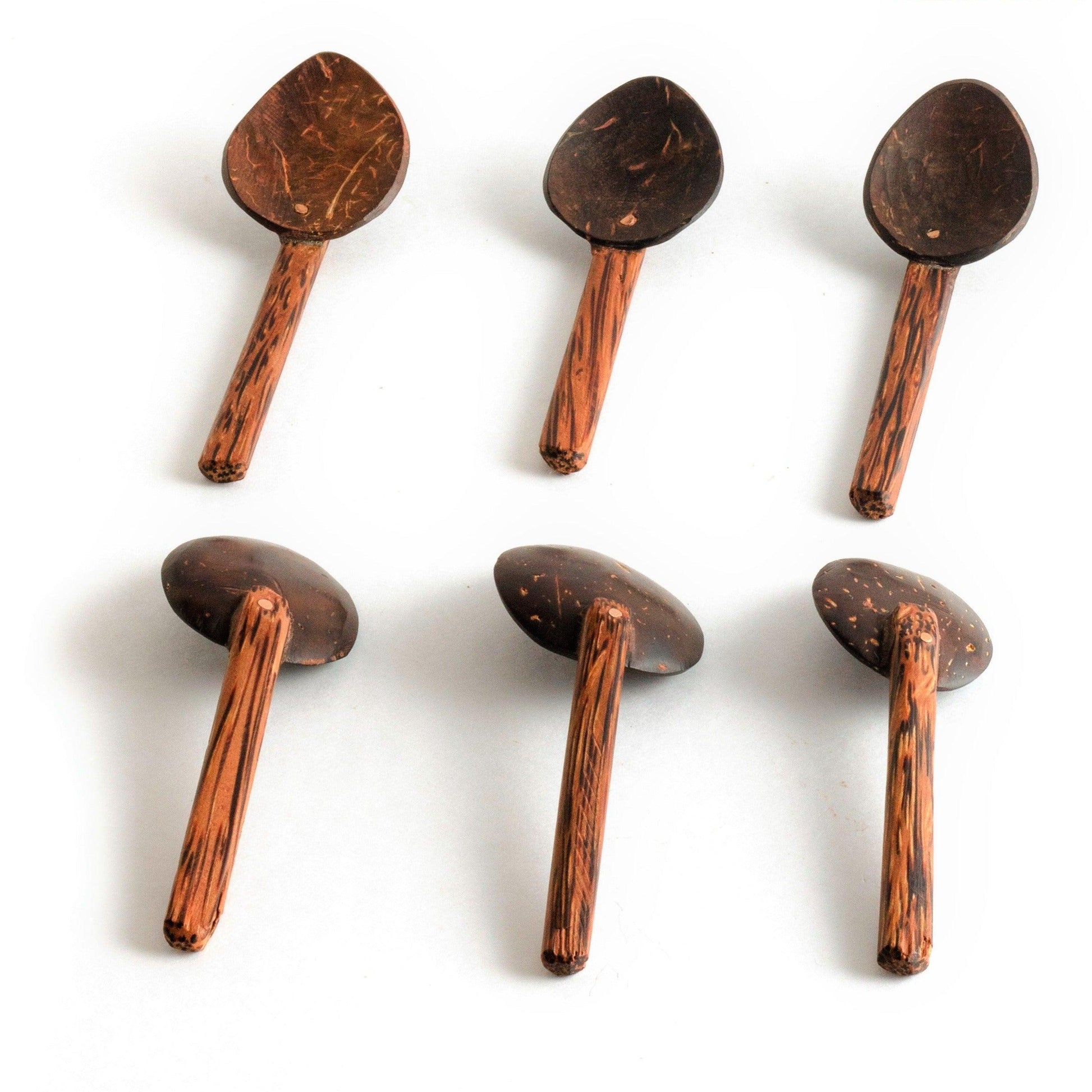 Buy Cutlery - Elegant Coconut Shell Wooden Masala Spoon Set Of 6 For Condiments & Spice Box by Thenga on IKIRU online store
