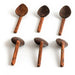 Buy Cutlery - Elegant Coconut Shell Wooden Masala Spoon Set Of 6 For Condiments & Spice Box by Thenga on IKIRU online store