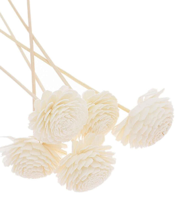 Buy Dried Flowers & Fragrance - Artificial Flower Rattan Reed Diffuser Sticks For Decor, Off White Color, Set of 5 by Purezento on IKIRU online store