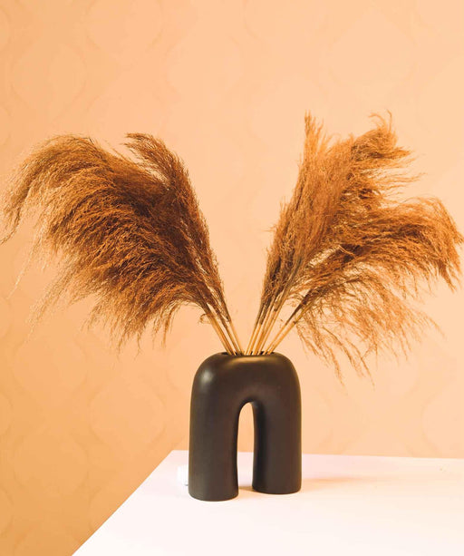 Buy Dried Flowers & Fragrance - Dried Pampas Grass Flake Decor, Set of 5 Stems | Artificial Plant For Home Decoration by Purezento on IKIRU online store