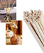 Buy Dried Flowers & Fragrance - Natural Bamboo Rattan Reed Sticks For Aroma Oil Diffuser Pack of 50 Sticks by Purezento on IKIRU online store