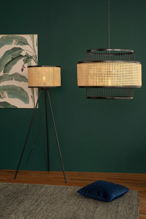Buy Floor Lamp - Canna Black Floor Lamp by Orange Tree on IKIRU online store