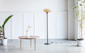 Buy Floor Lamp - Metal & Cane Standing Floor Lamp Light For Living Room & Home Decor by Orange Tree on IKIRU online store