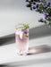 Buy Glasses & jug - Auric Highball Transparent Beverages & Cocktail Glass For Table Decor & Gifting by The Table Fable on IKIRU online store
